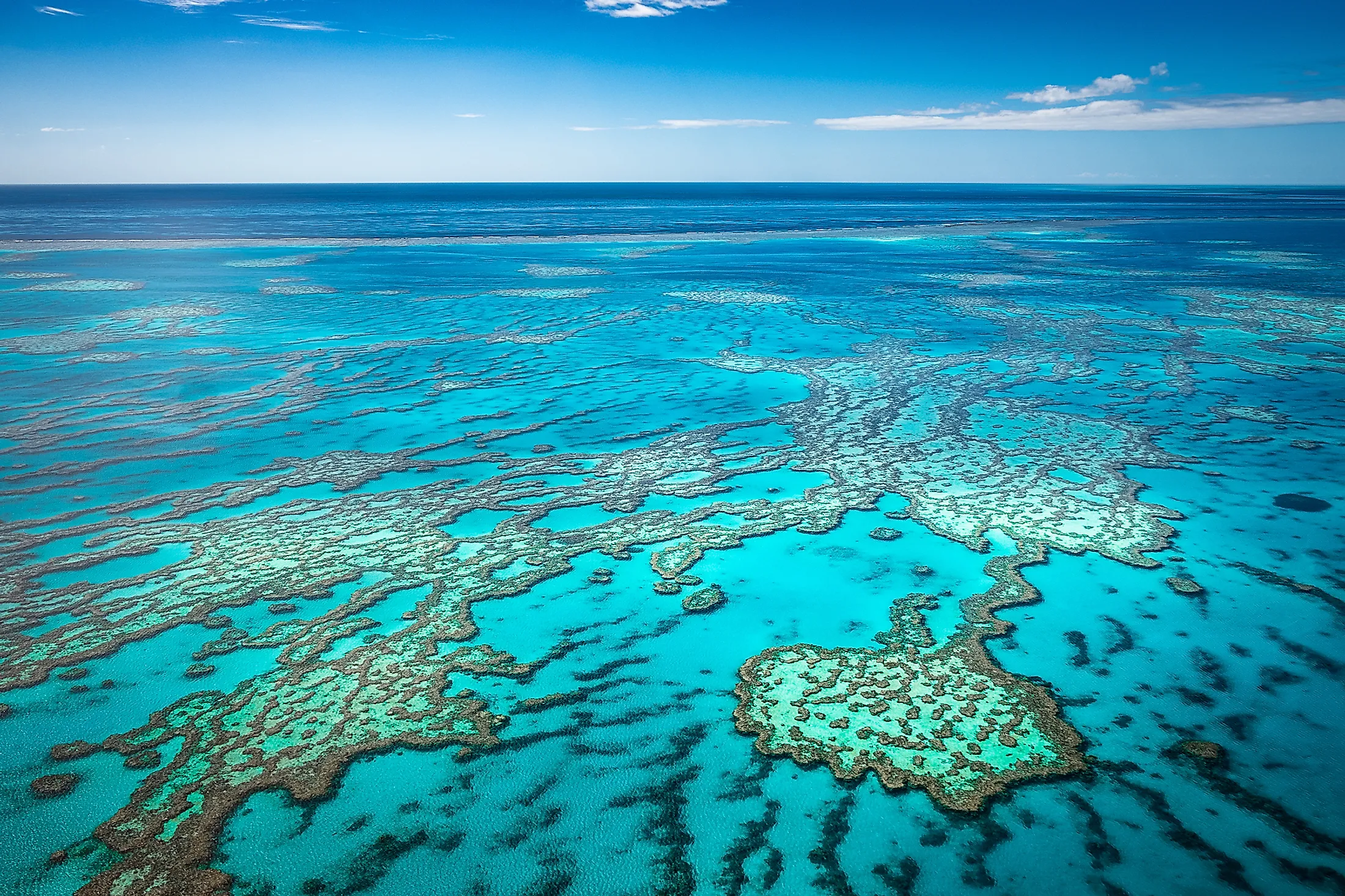 Great Barrier