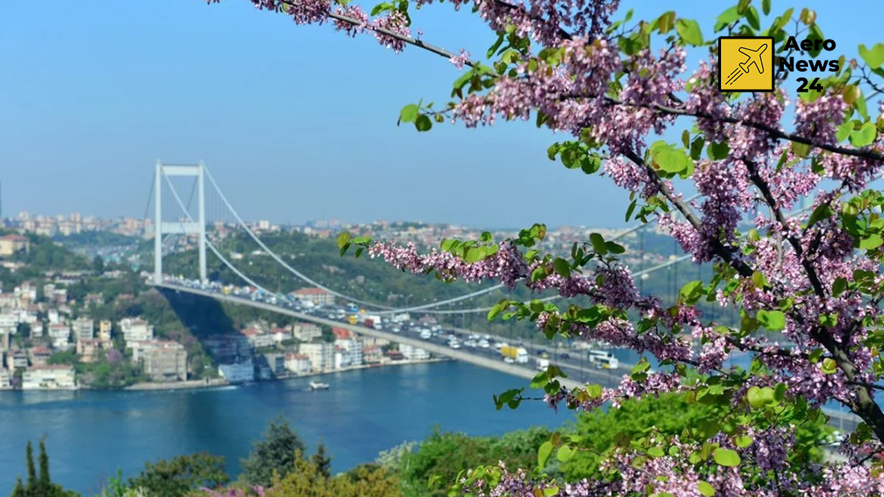 Istanbul Spring