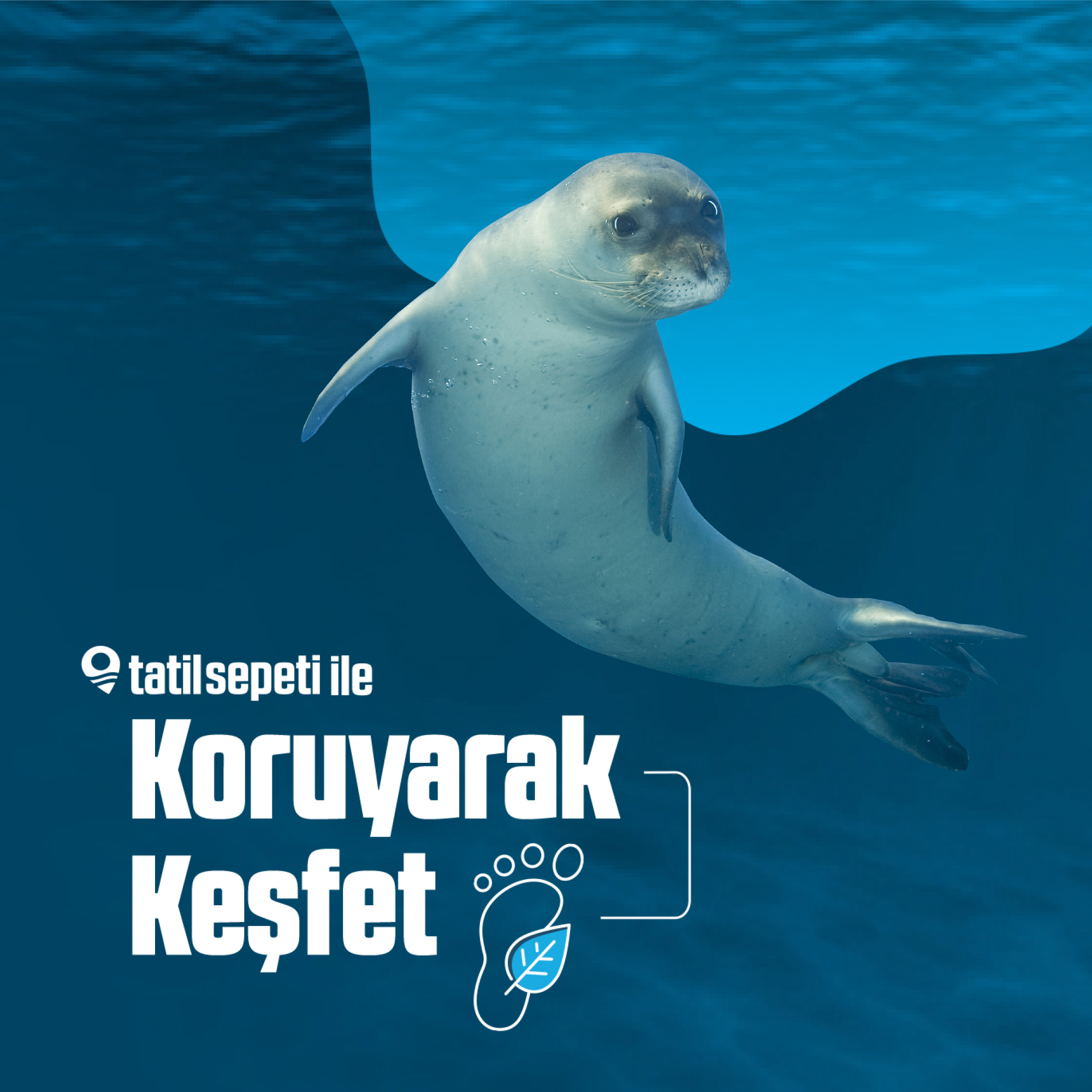 Koruyarak Keşfet
