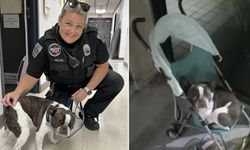UÇAĞA ALINMAYAN KÖPEĞİNİ OTOPARKTA TERK EDİP GİTTİ