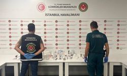 Gümrük Muhafaza, 13,5 milyar liralık kaçakçılığı önledi