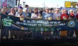 AYVALIK'TA ZEYTİN HASAT VE TURİZM FESTİVALİ HEYECANI