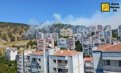 İzmir'de çıkan orman yangınına havadan müdahale sürüyor
