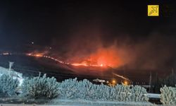 Hatay ve Bilecik'te orman yangınlarına havadan müdahale edildi