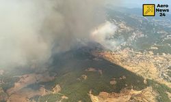 İzmir ve Muğla'da çıkan orman yangınına havadan müdahale başladı