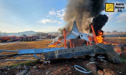 Güney Kore'de kule 'kuş uyarısı' yapmış