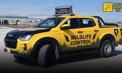 Sabiha Gökçen’de Uçuş Emniyeti İçin Yaban Hayatla 7/24 Mücadele