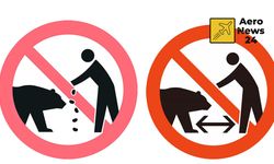 Japonya’da artan ayı saldırılarına karşı turistik alanlara yeni uyarı işaretleri