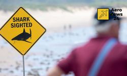 Turizm cenneti Avustralya'da alarm: Köpekbalığı saldırıları sonrası plajlar kapatıldı
