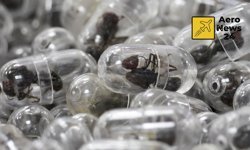 Valizden 2 bin 200 canlı karınca çıktı