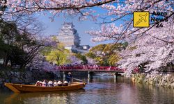 Gelenekten geleceğe otantik adaların ülkesi: Japonya