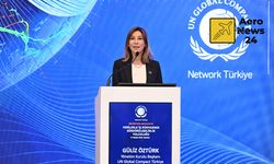Türkiye İş Dünyasının Sürdürülebilirlik Karnesi Açıklandı: Küresel Ortalamalara Yaklaşıyor