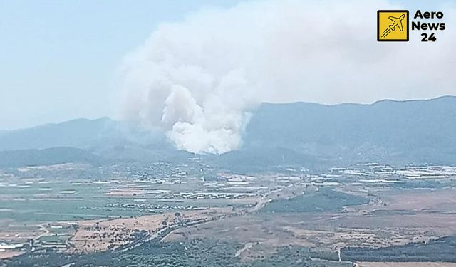 İzmir'de çıkan orman yangınına helikopterler ve uçaklar müdahale ediyor