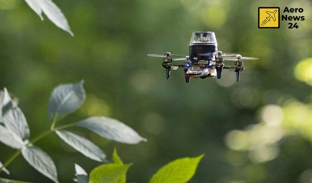 Karınca ve bal arılarından esinlenen bilim insanlarından drone atılımı