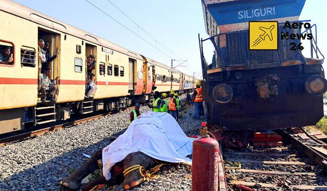 Hindistan’da tren faciası: Fil sürüsüne çarpan hızlı tren 7 can aldı