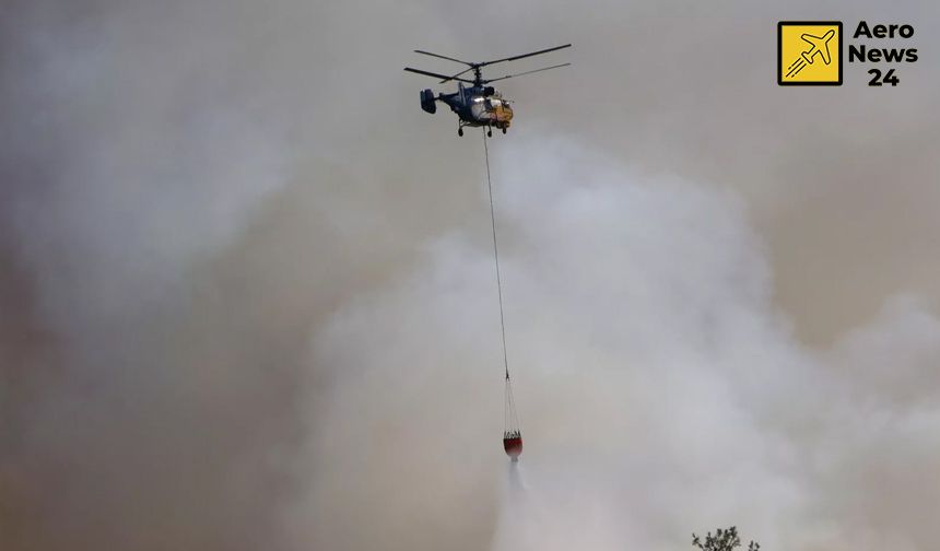 Milas'ta çıkan orman yangınına havadan müdahele edildi