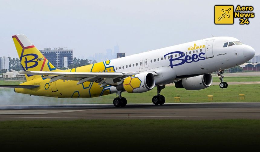 Bees Airlines Tüm Uçuşlarını Durdurdu