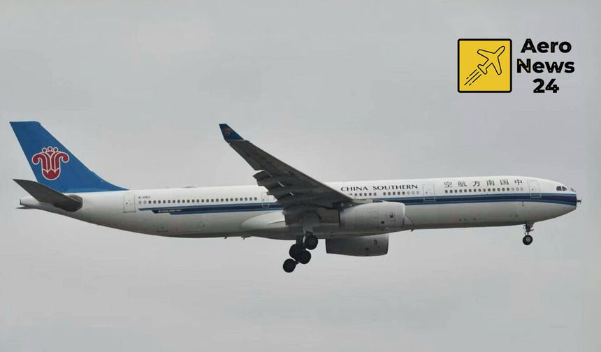 China Southern A330 seferinde kuş çarpması: Radom koptu