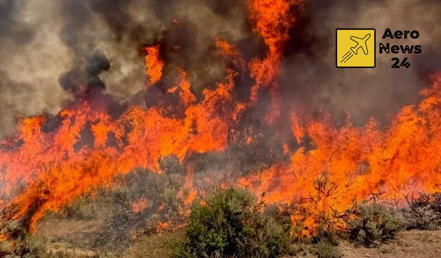 ABD'de yangın söndürme helikopteri düştü: FAA ve NTSB soruşturma başlattı